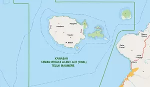 Investasi 'Siluman' Vila dan Galangan Kapal Ancam Surga Konservasi Wairterang!