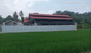 Bau Menyengat dan Serbuan Lalat: Jeritan Warga Kedondong di Tengah Bayang-Bayang Tanda Tangan Sang Kades