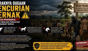 Teror Pencurian Ternak Hantui Praibakul: Dari Sapi Tinggal Kepala Hingga Kuda Lenyap!
