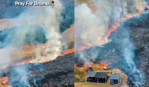Bromo Membara! Kebakaran Hutan TNBTS Tembus 70 Hektare, Akses Malang-Lumajang Ditutup