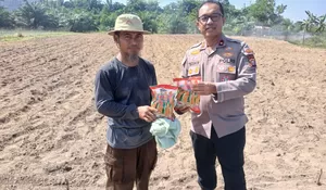 Kapolsek Tualang Serahkan Bibit Jagung Pipil, Dukung Swasembada Pangan di Lahan Ponpes Abu Huroiroh