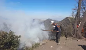 1.120 Hektare Lahan Terdampak Karhutla Gunung Bromo Padam, Tim Gabungan Sisir Bara Api dan Asap
