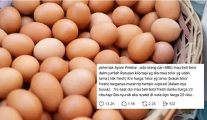 Skandal Dapur MBG Gempar: Demi Murah, Oknum Diduga Nekat Berburu Telur Busuk!