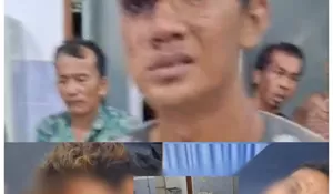 Puluhan Pekerja Korban Brutal Ratusan OTK di Kebun Batang Kumu 2 Tambusai Utara, Polisi Sudah Bergerak, Manajemen PT Agrinas Rantau Kasai, Bungkam