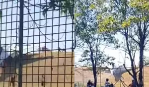 Detik-Detik Mencekam Pesawat Sukhoi Tergelincir Hingga Asap Membumbung di Hasanuddin
