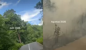 Biak Numfor Terbakar: Asap Pekat Karhutla Mencekik Warga dan Melumpuhkan Sekolah