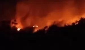 Gunung Geulis Dilanda Karhutla Hebat, Kobaran Api Mengancam Permukiman Warga Sukabumi