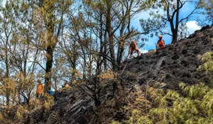 Polda Jatim Perketat Patroli Karhutla, Wilayah Hutan hingga Perkebunan Jadi Sasaran Pengawasan