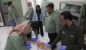 Puluhan petugas gabungan menyisir satu per satu kamar hunian narapidana di Lapas Kelas I Surabaya 