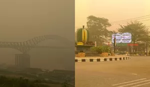 Dikepung Asap Karhutla, Warga Barito Utara Kalteng Bagikan Situasi saat Langit Menguning