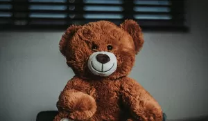 Viral Dugaan Pelecehan Berkedok Konten Boneka di Tunjungan, Polisi Turun Tangan