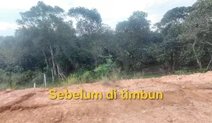 Diduga Hancurkan Kawasan Hutan Lindung di Batam, Polhut Temukan Pelanggaran Berat Pengembang