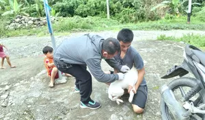 Peringati World Rabies Day 2026, Nias Barat Siapkan 500 Dosis Vaksin Rabies