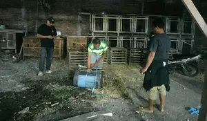 Polresta Sidoarjo Bersama Polsek Waru Tindak Lanjuti Aduan Arena Sabung Ayam di Desa Berbek