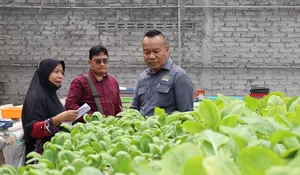 Yona Suntik Rp10 Juta untuk Hidroponik Sri Rejeki Jitu Karang Pilang, Dorong Kampung Mandiri Pangan