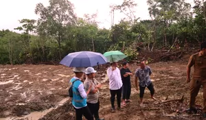 Bupati Nias Barat Tinjau Lokasi PLTD 10 MW, Perkuat Harapan Pasokan Listrik Andal