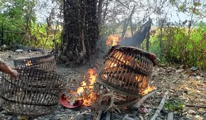 Polresta Sidoarjo Bersama Polsek Sukodono Tindak Lanjuti Dumas Sabung Ayam di Desa Bangsri
