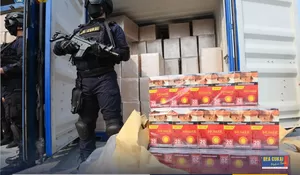 Bea Cukai Pantoloan Gagalkan Peredaran 4,2 Juta Rokok Ilegal Senilai Rp6,2 Miliar