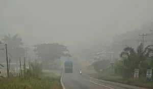 Langit Jambi Mencekam: Asap Karhutla Memekat, ISPU Tembus Kategori Berbahaya 300
