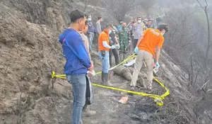 Karhutla Bromo Telan Tiga Korban Jiwa, Tiga Orang Luka Bakar saat Padamkan Api