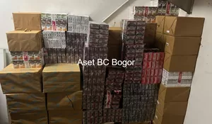 Bea Cukai Bogor Sita 240 Ribu Batang Rokok Ilegal di Tol Sentul Barat, Potensi Kerugian Negara Rp179 Juta