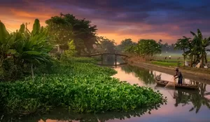 Eceng Gondok Kuasai Irigasi Karawang: Pemdes Kertarahayu Ultimatum BBWS Citarum–PJT II, Sawah 800 Hektare Terancam Gagal Tanam