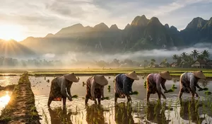 Cetak Sawah Baru 100 Hektare di Garut, Tanah Kosong Disulap Jadi Harapan Swasembada Pangan