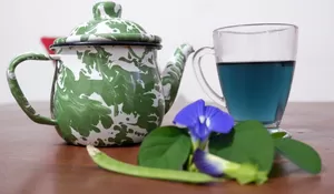 Bhegin Syah Kenalkan Teh Telang yang Syarat Manfaat Untuk Kesehatan, Warnanya Biru Rasa Segar   