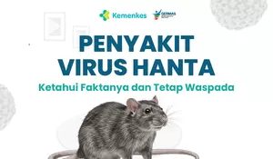 Kasus Virus Hanta di Indonesia Meningkat, Kemenkes Minta Masyarakat Waspada