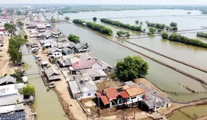 Kampung Dolar Muara Gembong: Kisah Kejayaan Tambak Udang yang Kini Terancam Abrasi