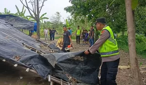 Usai Dikeluhkan Warga, Bangunan Diduga Arena Sabung Ayam di Comal Dibongkar Polisi