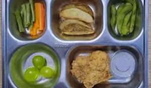 Kualitas Makanan hingga Tata Kelola Jadi Catatan, Pemerintah Benahi BGN Lewat Pergantian Pimpinan