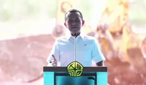 Proyek Raksasa Masela Diproyeksi Setor Rp615 Triliun ke Negara