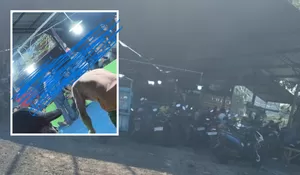 Call Center 110 Dinilai Mandul, Warga Minta Polresta Sidoarjo Bertindak terhadap Dugaan Judi Sabung Ayam