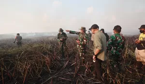 Karhutla Way Kambas Membara, Tim Alfa TNI Diterjunkan