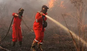 Kutai Kartanegara dan Paser Membara, BNPB Kerahkan Armada Udara di 6 Provinsi Prioritas Karhutla