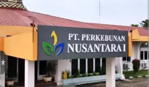 Temuan Audit BPK terhadap PTPN I Mencakup Proyek, Kerja Sama, dan Penguasaan Lahan