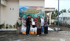 Gerak Cepat Usai Bencana, Payakumbuh Salurkan Benih Jagung Unggul untuk Petani yang Puso