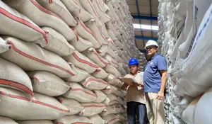 Kirim 1.000 Ton ke Natuna, Ini Strategi Bulog Jaga Stok Beras Batam
