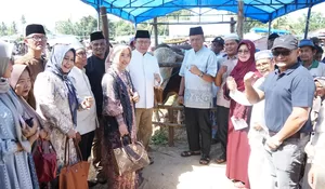 Payakumbuh Kembali Terima Kurban Presiden, Sapi Hasil IB Lokal Dipilih Setelah Seleksi Ketat