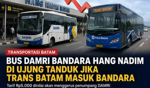 Bus DAMRI Bandara Hang Nadim di Ujung Tanduk? Kehadiran Trans Batam Rp5.000 Berpotensi Ubah Peta Transportasi