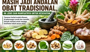 Tanaman Herbal Masih Jadi Andalan Obat Tradisional, Ini Jenis dan Manfaatnya untuk Kesehatan