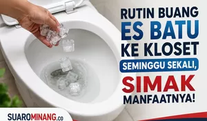 Rutin Buang Es Batu ke Kloset Seminggu Sekali, Benarkah Bermanfaat? Ini Penjelasannya