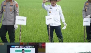Presiden Prabowo Umumkan Indonesia Kembali Swasembada Pangan, Gubernur Jambi Ikuti Tasyakuran secara Virtual