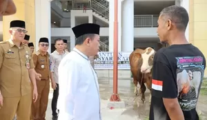 Sapi Kurban Presiden Prabowo Berbobot 930 Kg Diserahkan di Jambi, Al Haris Tekankan Semangat Berbagi