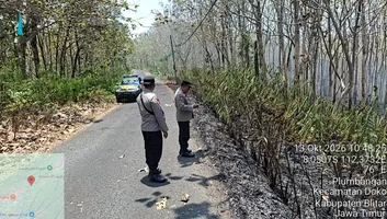 Api Membakar Daun Jati Kering di Doko Blitar, Polisi dan Perhutani Bergerak Cepat