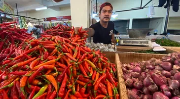 Harga Cabai Semakin Pedas