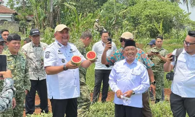 Panen Semangka Inul, Rudy Susmanto Dorong Lahan Bomang Jadi Sumber Ekonomi Warga