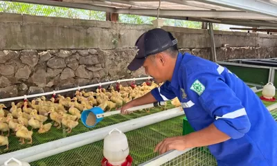 Dari Ternak hingga Maggot, Lapas Cibinong Bekali Warga Binaan dengan Keterampilan Produktif