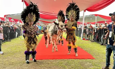 Kontes Sapi APPSI Piala Presiden 2026 Digelar di Bogor, Peternak Rakyat Didorong Naik Kelas